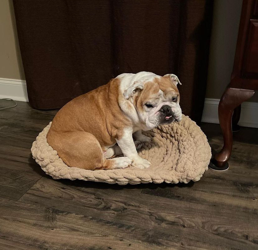 2.0 Chunky Pet Beds