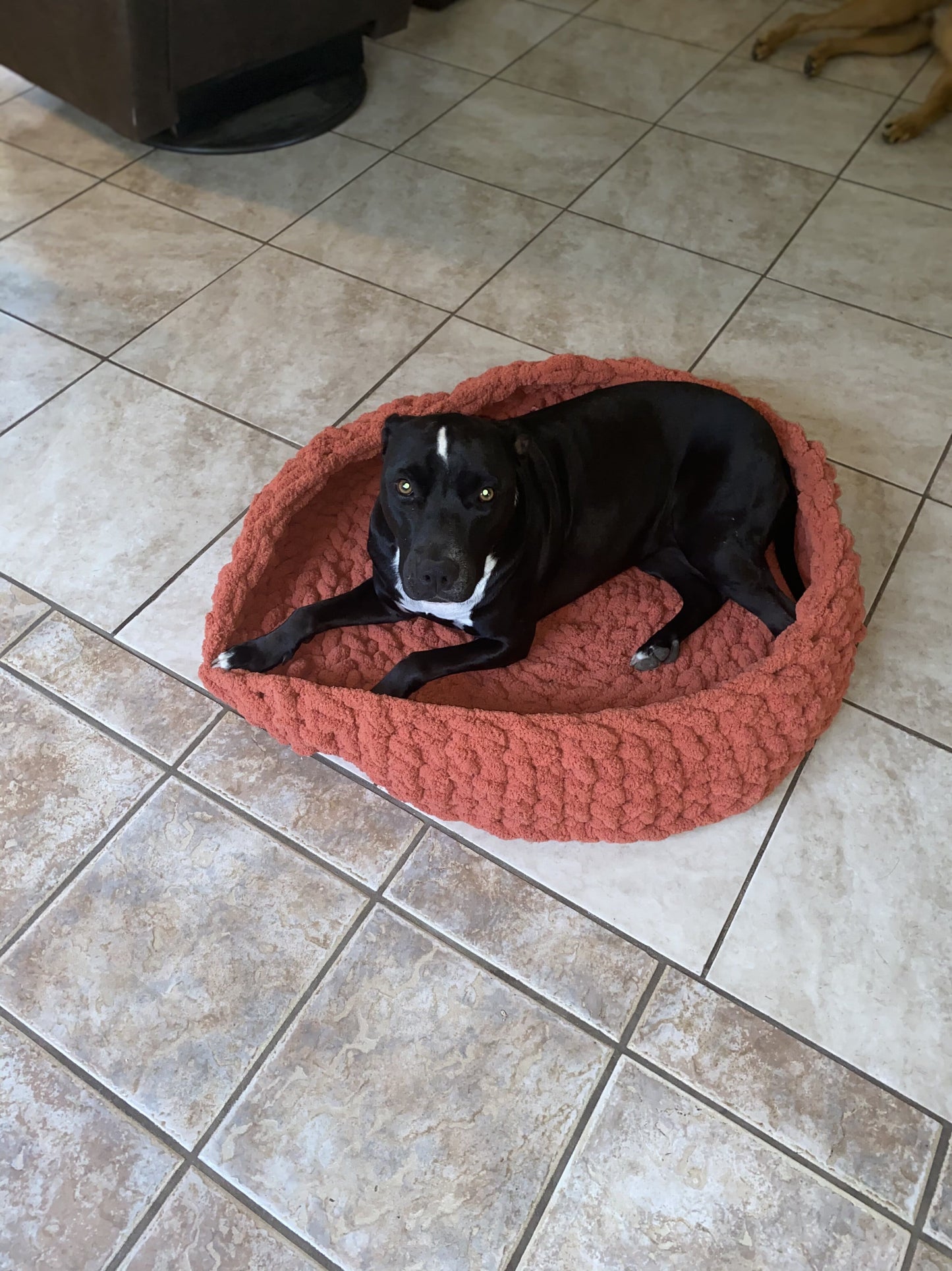 Chunky Knit Pet Beds