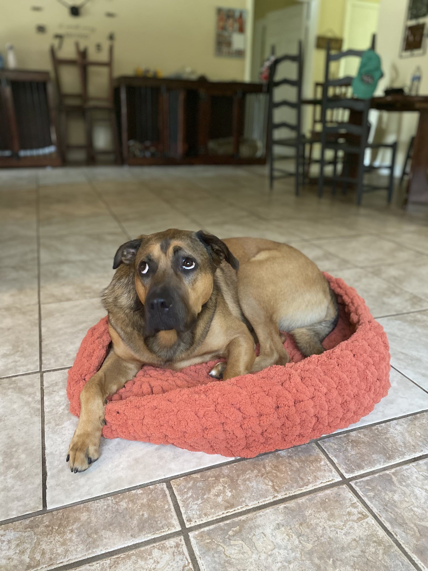 Chunky Knit Pet Beds