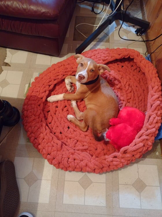 Chunky Knit Pet Beds