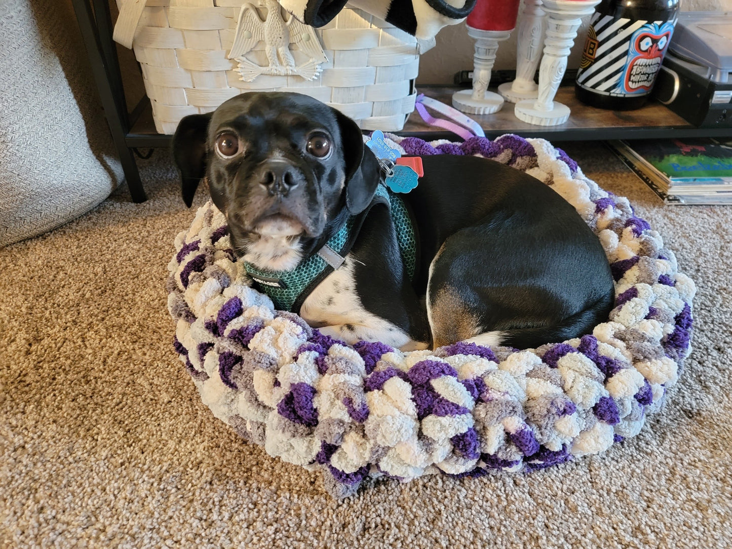 Chunky Knit Pet Beds