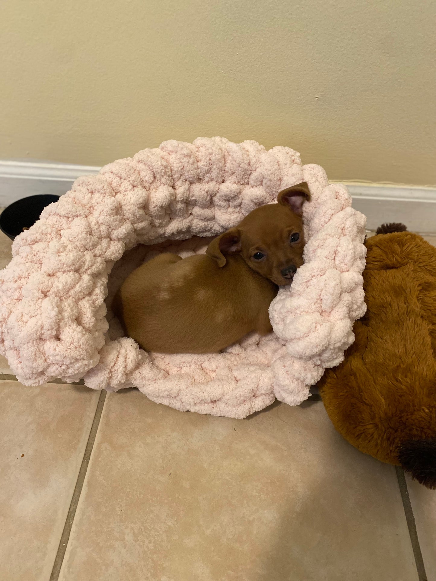 2.0 Chunky Pet Beds