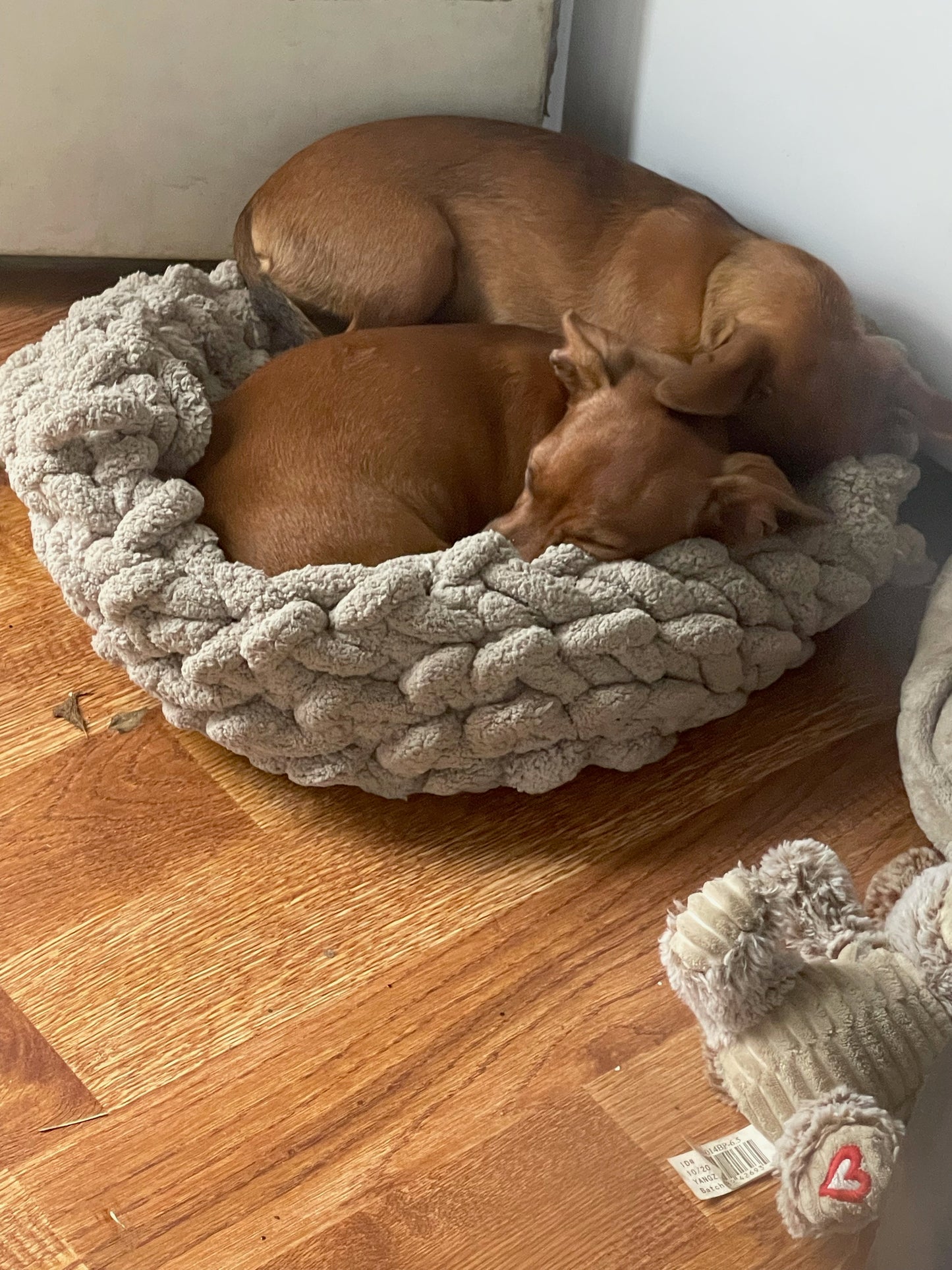 2.0 Chunky Pet Beds